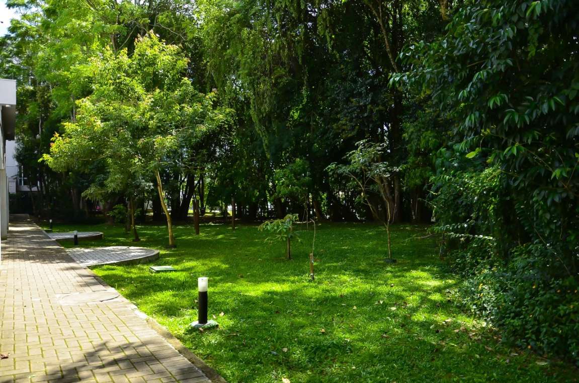 Apartamento, 3 quartos, 67 m² - Foto 51