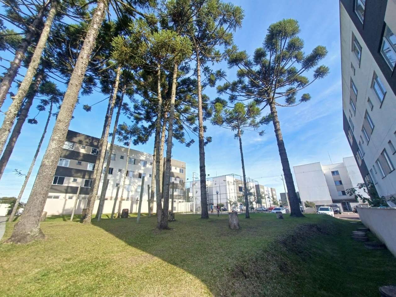 Apartamento, 2 quartos, 40 m² - Foto 49