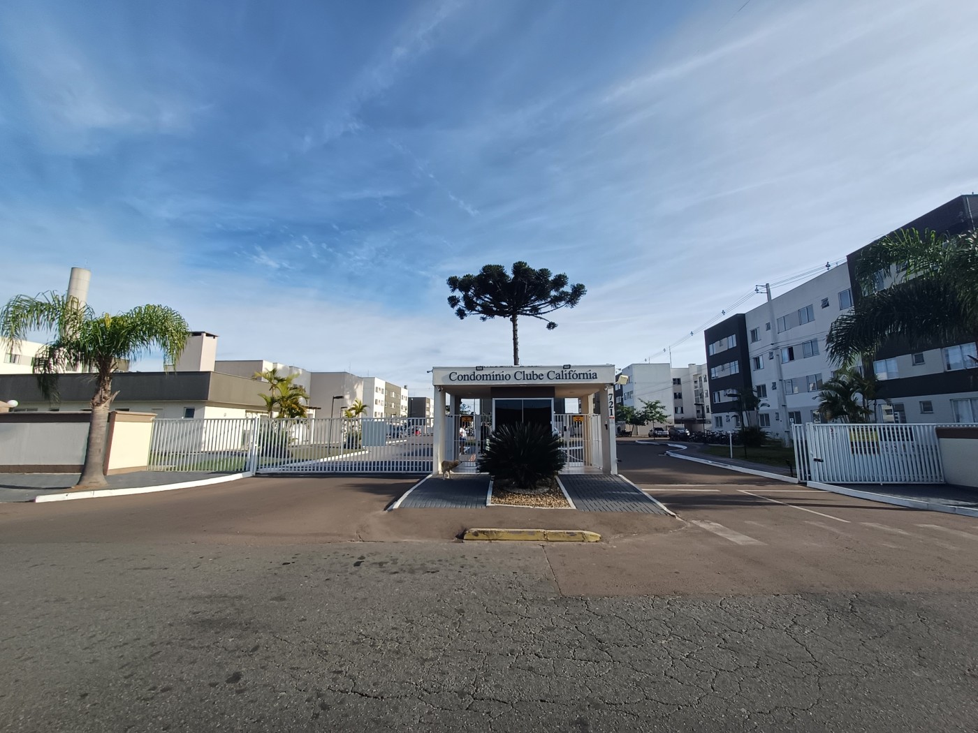 Apartamento, 2 quartos, 40 m² - Foto 1