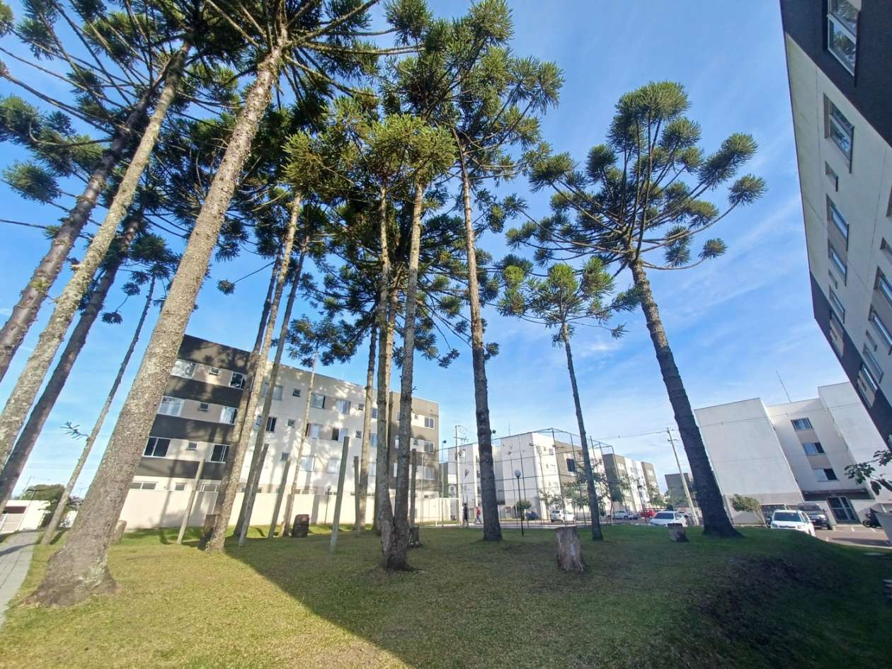 Apartamento, 2 quartos, 40 m² - Foto 17